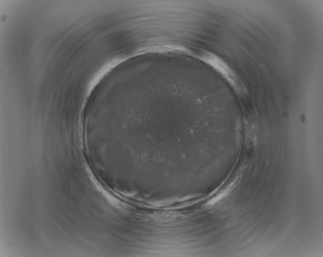 X0000074231046200609081616