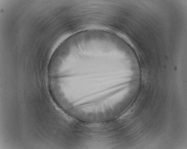 X0000074231048200609081616