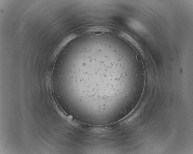 X0000074231049200609081616