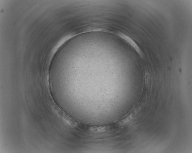 X0000074231051200609081616