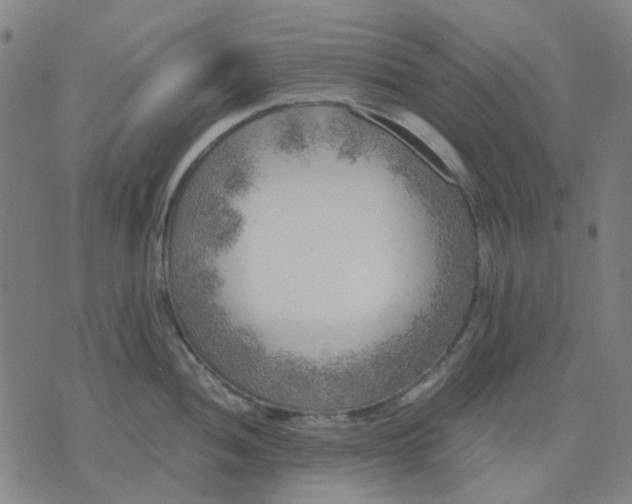 X0000074231052200609081616