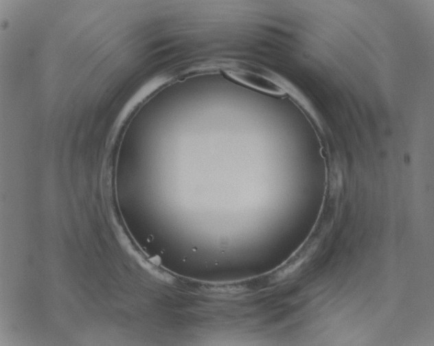 X0000074231053200609081616