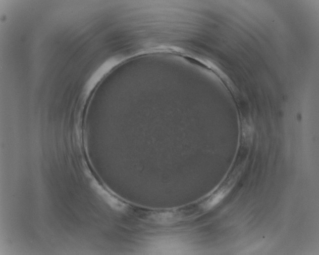 X0000074231054200609081616