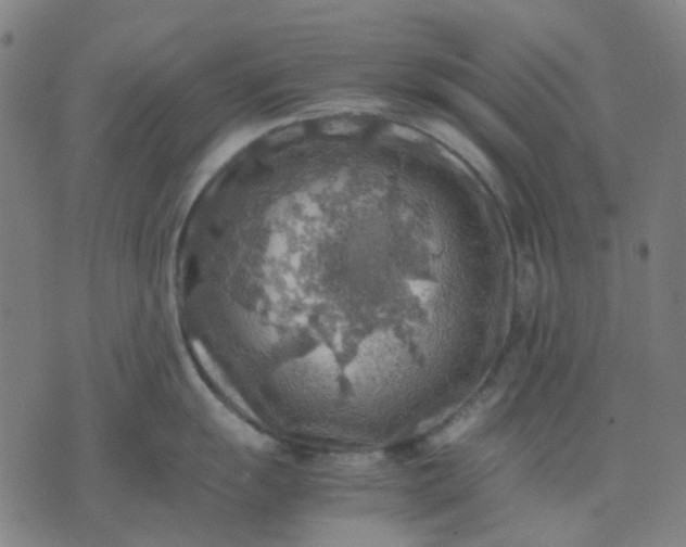 X0000074231055200609081616