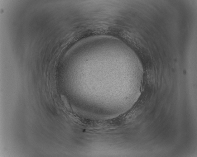 X0000074231057200609081615