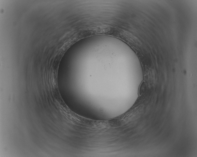 X0000074231058200609081615