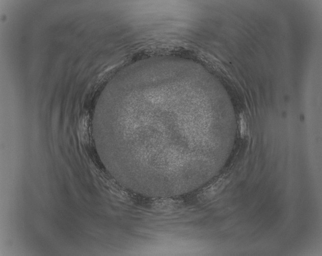 X0000074231059200609081615