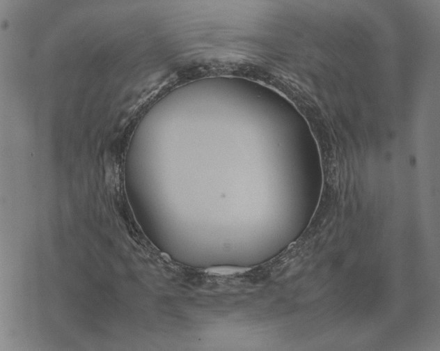 X0000074231061200609081615