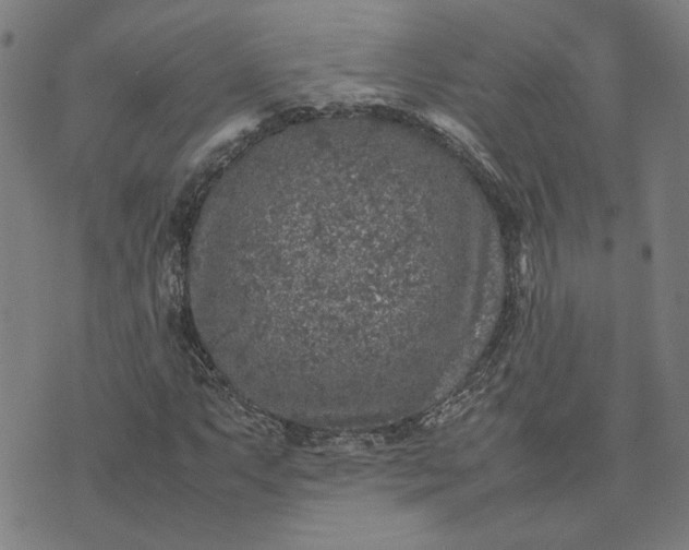 X0000074231063200609081615