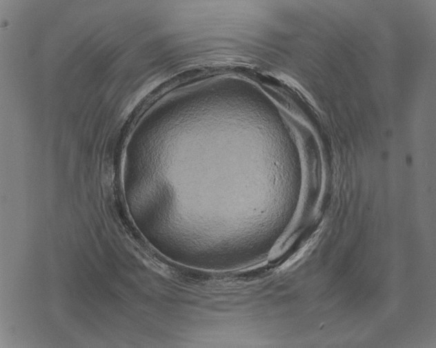 X0000074231065200609081615