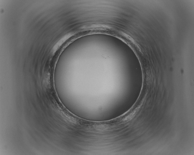 X0000074231066200609081615