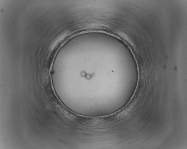 X0000074231067200609081615