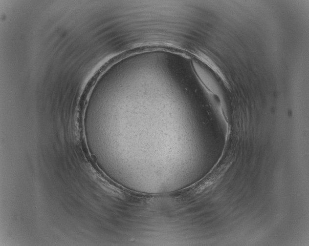 X0000074231068200609081615