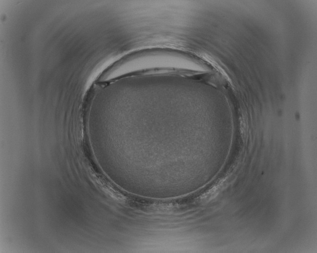 X0000074231069200609081615