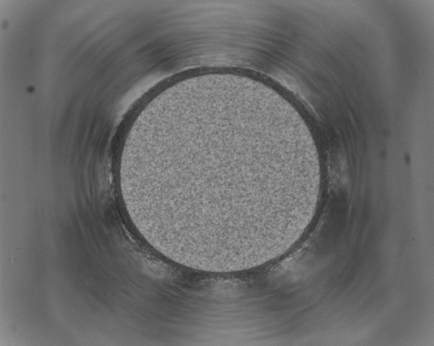 X0000074231070200609081615