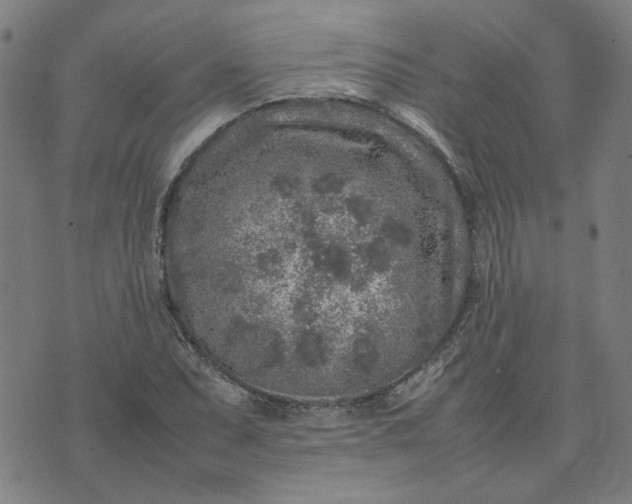 X0000074231071200609081615