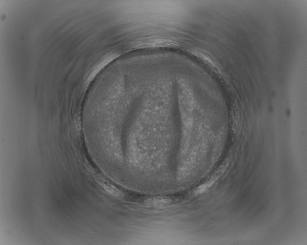 X0000074231073200609081615