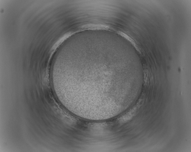 X0000074231074200609081615