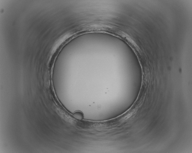 X0000074231075200609081615