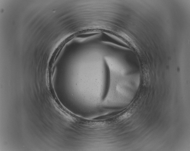 X0000074231076200609081615