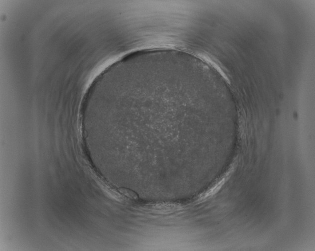 X0000074231077200609081615