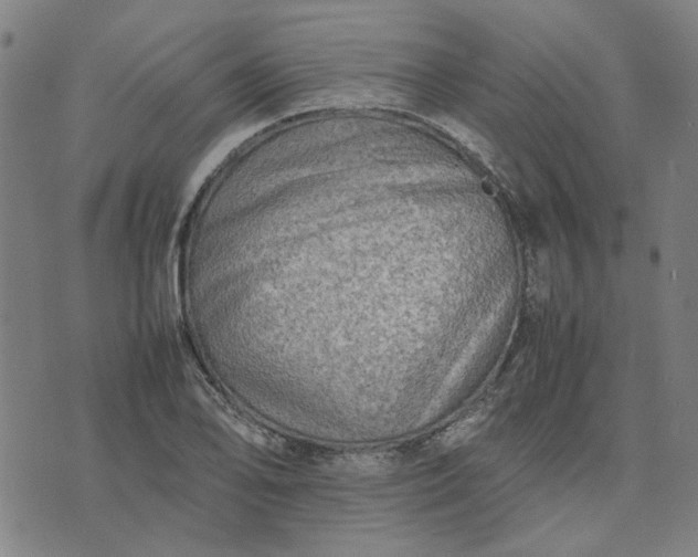 X0000074231078200609081615