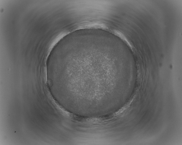 X0000074231079200609081615