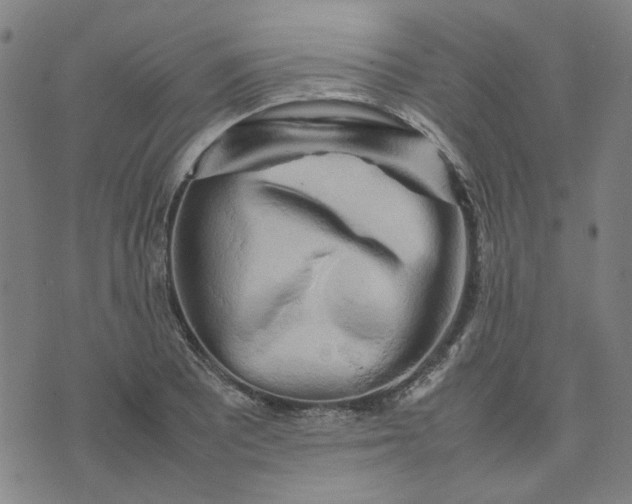 X0000074231081200609081615