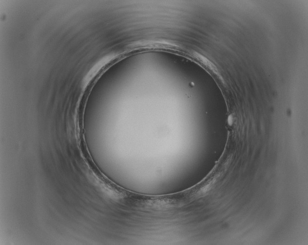 X0000074231082200609081615