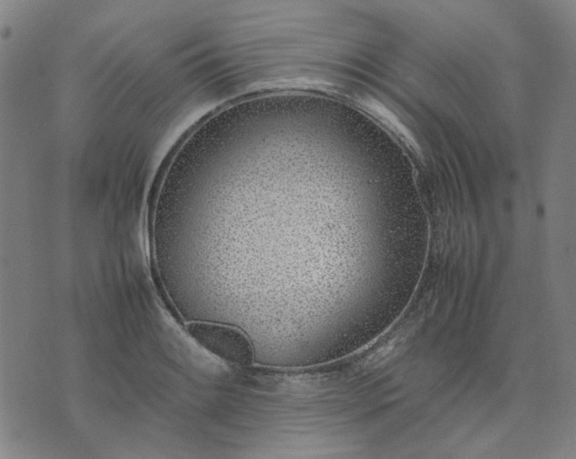 X0000074231084200609081615