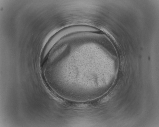 X0000074231085200609081615