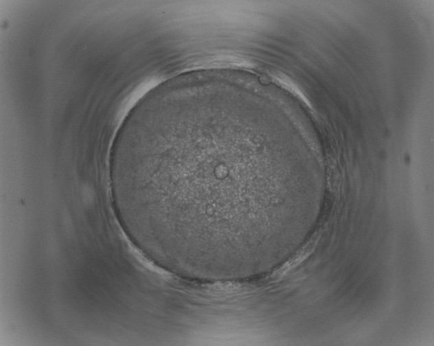 X0000074231087200609081615