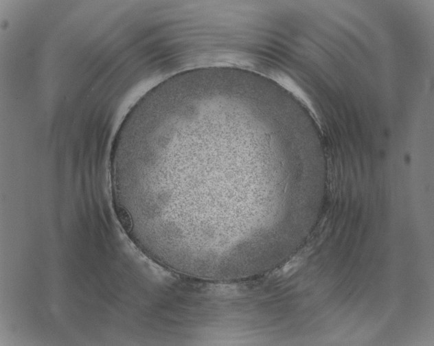 X0000074231088200609081615