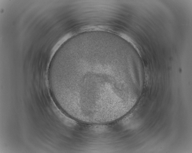 X0000074231090200609081615