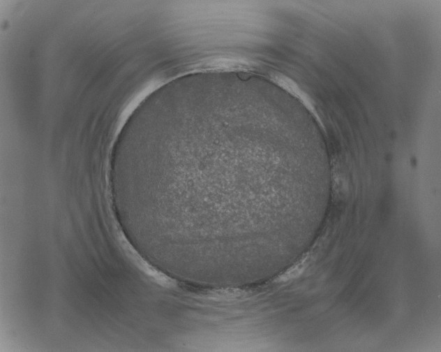 X0000074231091200609081615