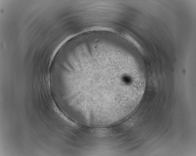 X0000074231092200609081615