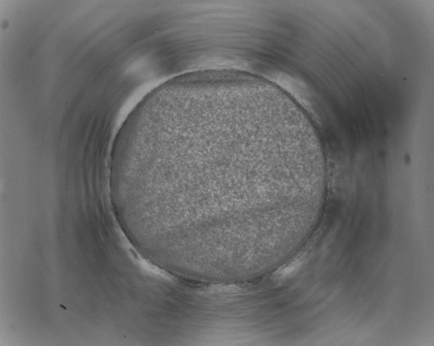 X0000074231094200609081615