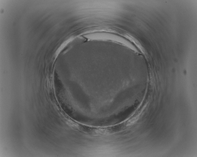 X0000074231097200609081615