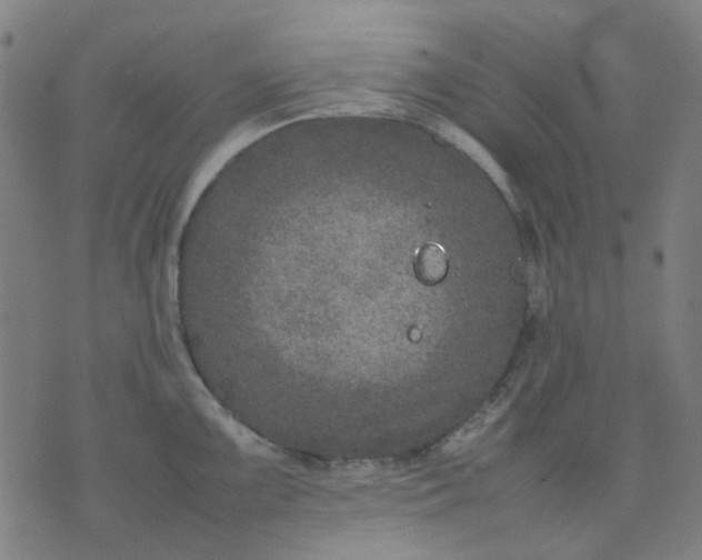 X0000074231099200609081615