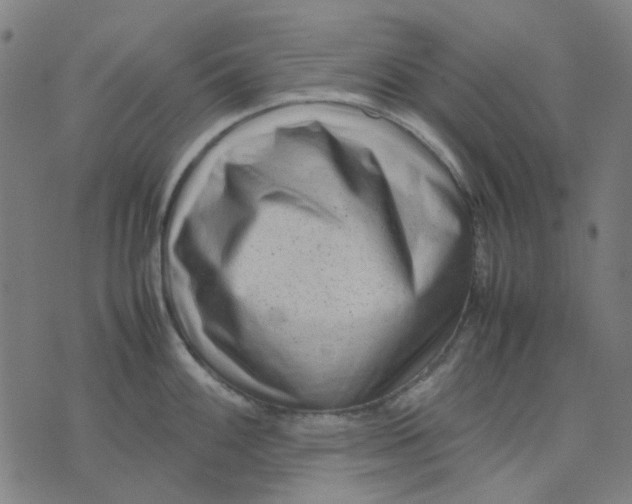 X0000074231100200609081615