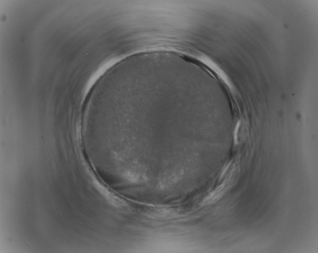 X0000074231101200609081615