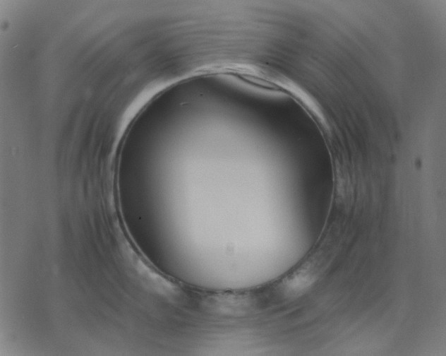 X0000074231102200609081614