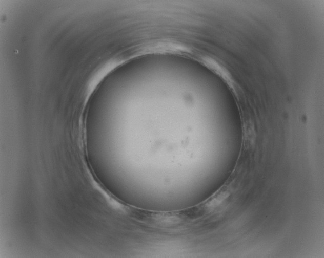 X0000074231103200609081614