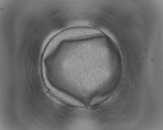 X0000074231104200609081614