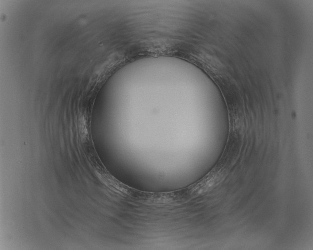 X0000074231106200609081614