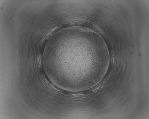 X0000074231108200609081614