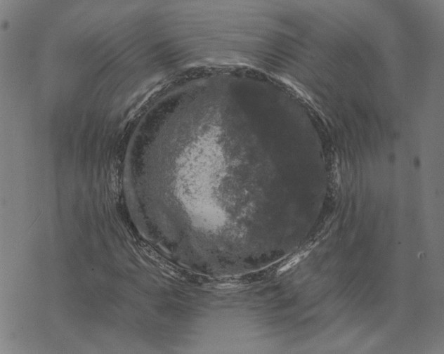 X0000074231110200609081614