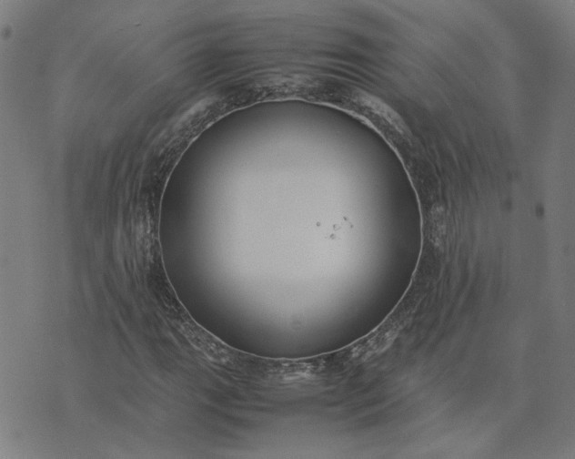 X0000074231111200609081614