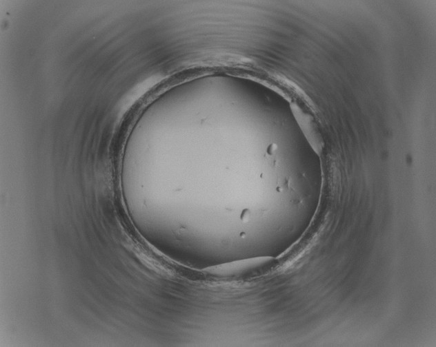 X0000074231114200609081614