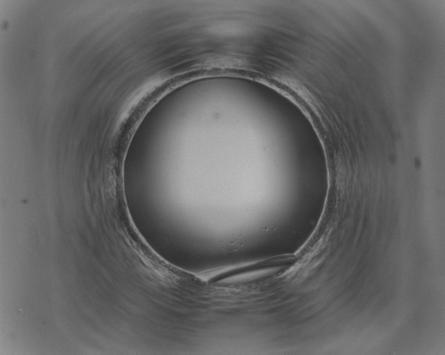 X0000074231115200609081614